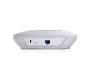 300Mbps wireless n ceiling/wall mount access point