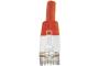 DEXLAN Cat6A RJ45 Patch cable S/FTP red - 10 m